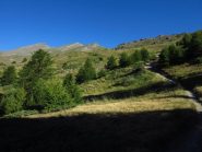 Verso i laghi, bellissimi pascoli e il Petit Rochebrune