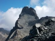 la Niera dalla Petite Tete Noire
