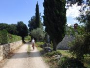 Sulla stradina di Bertol