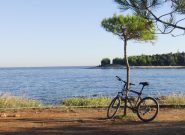 Bici&mare