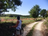 Un pò di ombra