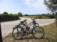 Niente traffico
