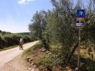 Zona Valalta