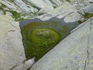 laghetto pensile scendendo al lago Boiretto