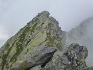 capre sulla cresta prima della Quota 2626