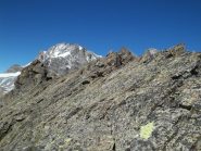 parte piatta della cresta