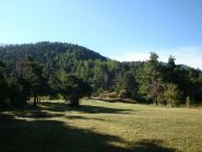 Bassa di Gereon