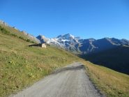 il monte Velan