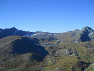 miserin e rosa dei banchi 