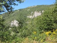 panorama verso le pareti della carra saettiva