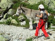 Fra due giorni si torna a squola. E tu l'hai fatti i compiti delle vacanze?
