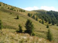 discesa dal Colle della Montagnetta