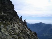 Salendo i canaloni finali...