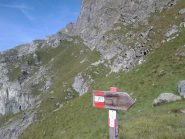 Colle CostaFiorita e percorso alla base della Torre