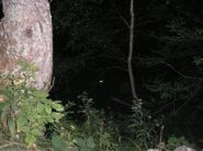 due occhi mi osservano nella notte non sono piu' solo