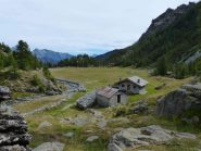 Alpe Vercoche  mt. 1863