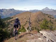 Monte Festa....la festa del nose press