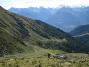 verso gli alpeggi
