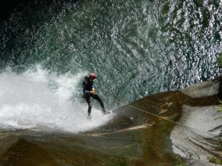 tabogabile a denti stretti dalla riga bianca