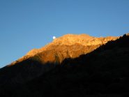 Alba