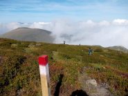 zona Passo delle Scalette
