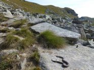 incontro ravvicinato prima del Colle Sià