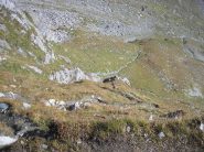 il sentiero e' molto ripido