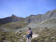  verso il passo del gatto