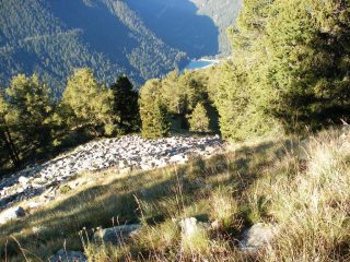 il ripido costolone all'uscita dal bosco