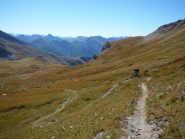 versante Val Maira...single track erboso