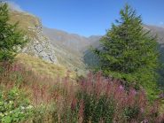 Vista vallone Soustra e M. Losetta 