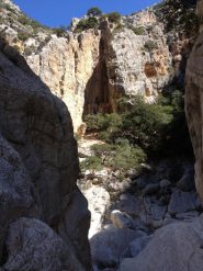 La gola in prossimità dell'attacco