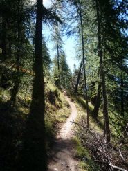 i tornantini nel bosco sopra Souliers (in salita)