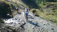 in coda nei pressi di Foresus
