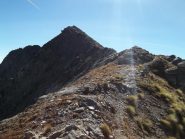 cresta terminale dal colletto