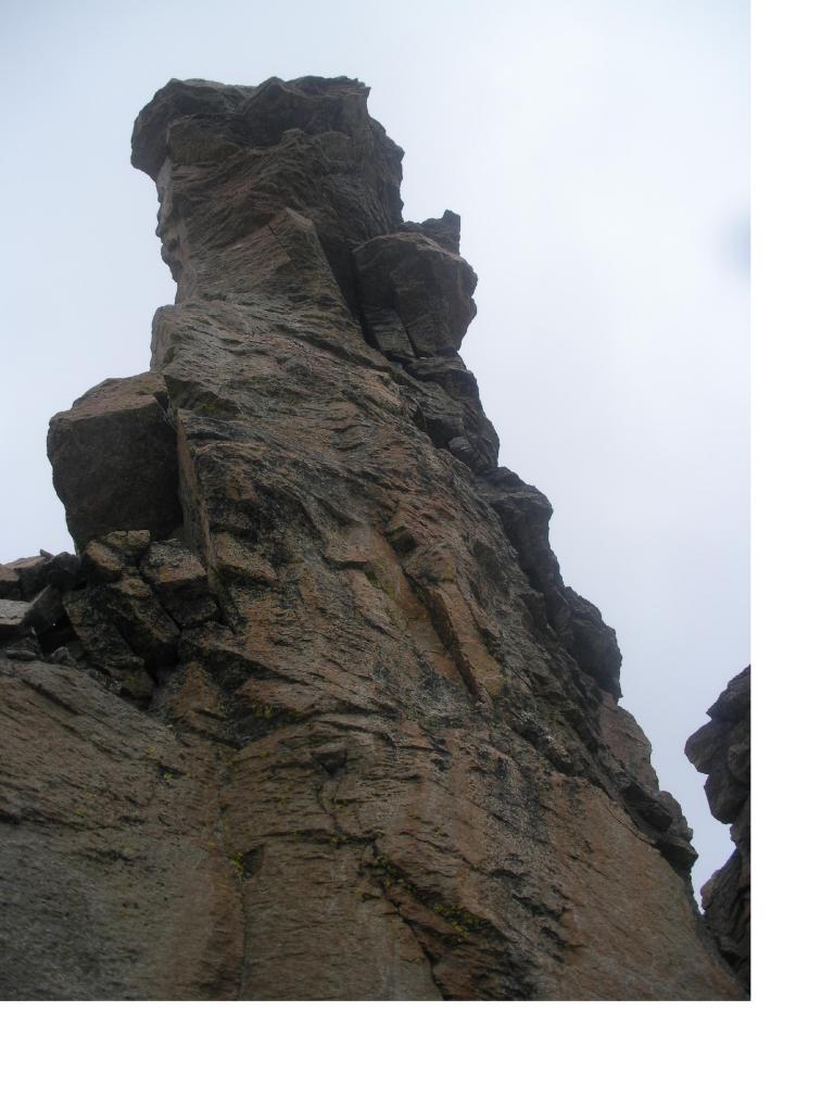 Il dente merid.le (il piu' alto) dalla base