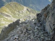 Dalla Cima Fer, vista su Punta e Alpe Antena