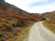 sterrata percorsa in discesa