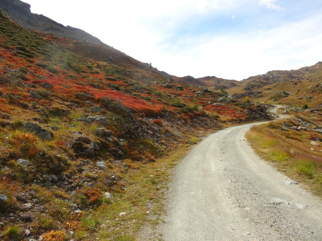 sterrata percorsa in discesa