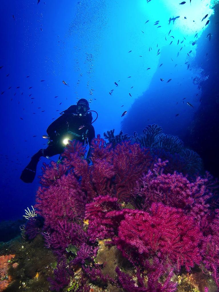 Davide ammira un altro meraviglioso giardino 