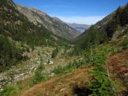 Iniziano i colori autunnali nel vallone del Malinvern