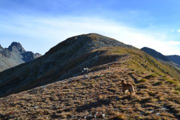 verso la Cima Vignone
