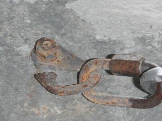 Vi calereste su questa piastrina?