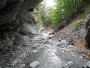 breve tregua, tornano i colori...possibile uscita a dx