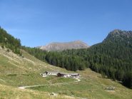 malga Cagnon di Sotto