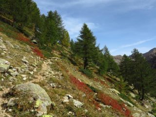 I primi colori autunnali