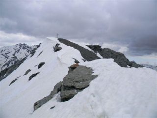 la cima del Pic Lombard