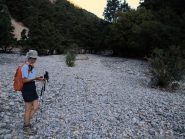 I piccoli boschetti all'interno della gola