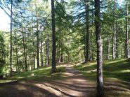 la parte finale della prima discesa