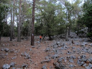 Verso Kormokopos